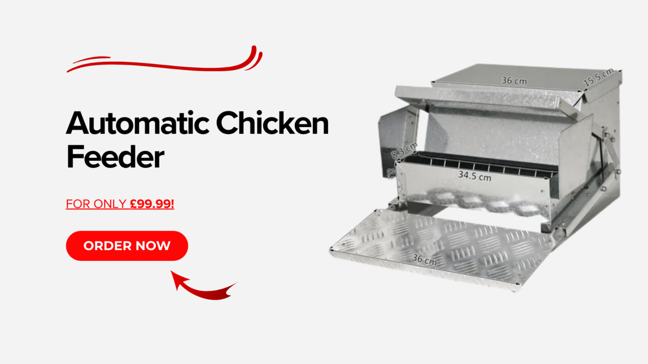 Chicken Feeder Banner