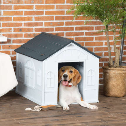 Dog House 2