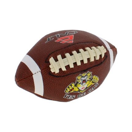 Mini American Football-2-min